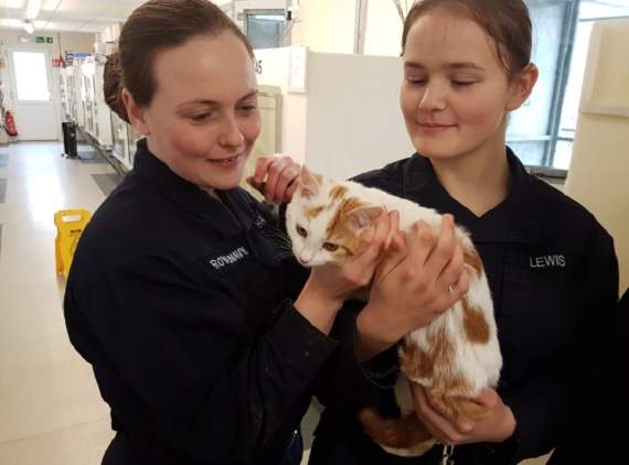 Recruits help out at pets' sanctuary