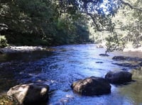 Exploring Tamar Valley