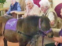 Pony's visit to care home