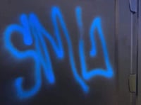 Police hunt for spray vandal