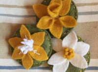 Make daffodil brooches at Tamar Valley