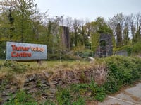 Tamar Valley engine house fenced off due to collapsed shaft