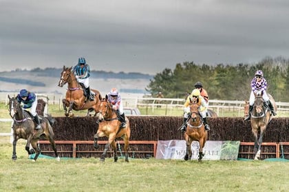Six races on point-to-point race card