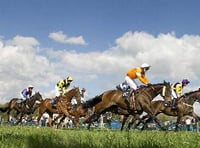 Tiverton staghounds point to point returns this Sunday 