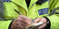 Police appeal for information on dog kicking incident