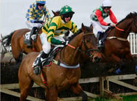 Don't miss out on the Point to Point today at Buckfastleigh