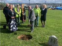 Mayor of Saltash plants a sapling to mark the Platinum Jubilee