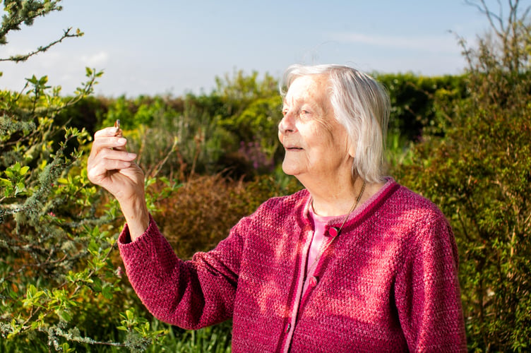 Ann Kendrick from Portlooe, Cornwall, holds her late husband's wedding ring. 27th April 2022  See SWNS story SWPLring. A 90-year-old has found her late husband's wedding ring under an apple tree - 35 years after he lost it in their garden. Ann Kenrick says Peter, who passed away 22 years ago, lost his band while working in their back garden in Looe, Cornwall, in 1987. The mother-of-seven discovered the ring on Saturday (23 April) when she was clearing around the base of an apple tree. She said she was "very excited" to find the ring and added that her husband would have been "as surprised as her".  