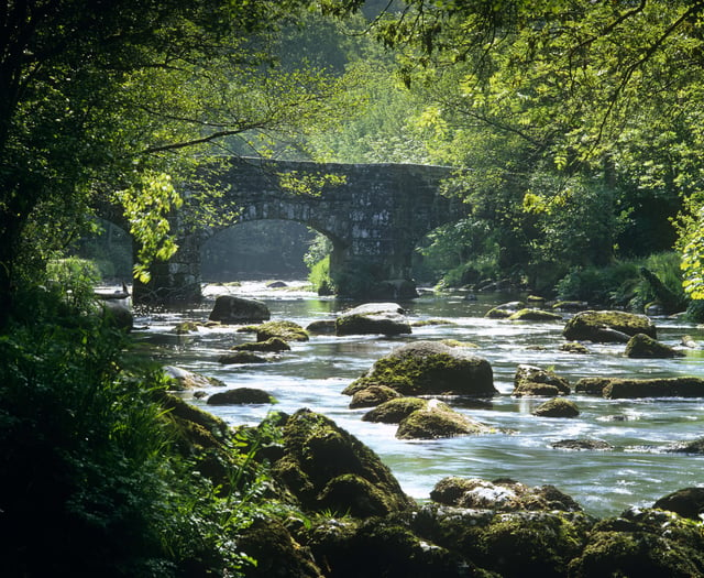 Public contribution sought on state of local rivers in Big River Watch