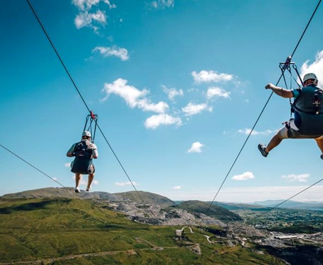 Zip line proposal in Tavi woods to benefit tourism