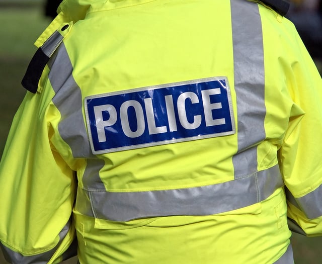 Police appeal for witnesses to Pyworthy burglary