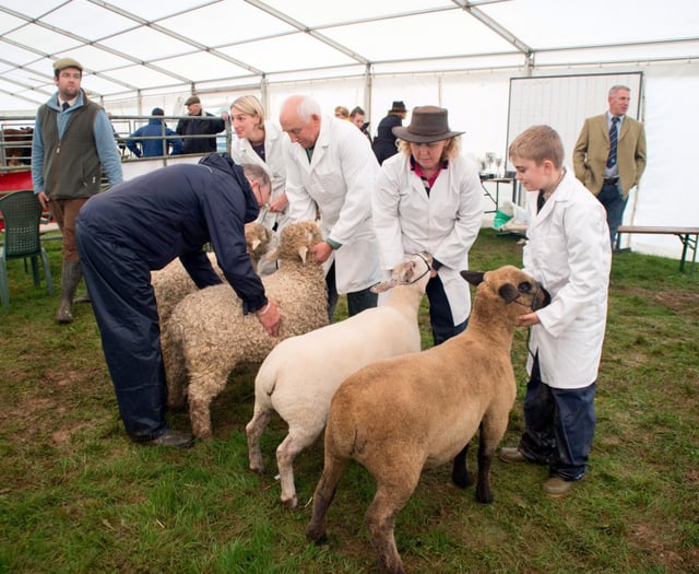 Organisers expect livestock to return for 2025 show