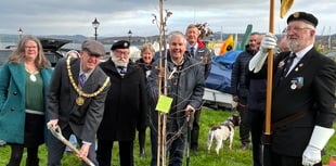 Tree planted by Saltash Royal British Legion in memory of Queen Elizabeth II