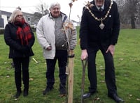 Oak tree planted in Liskeard park in memory of late sovereign