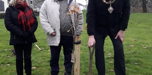 Oak tree planted in Liskeard park in memory of late sovereign