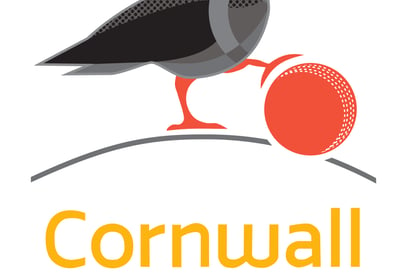 Cornwall Cricket League preview - Saturday, June 3