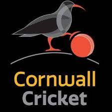 Cornwall Cricket League scores from Saturday, June 3