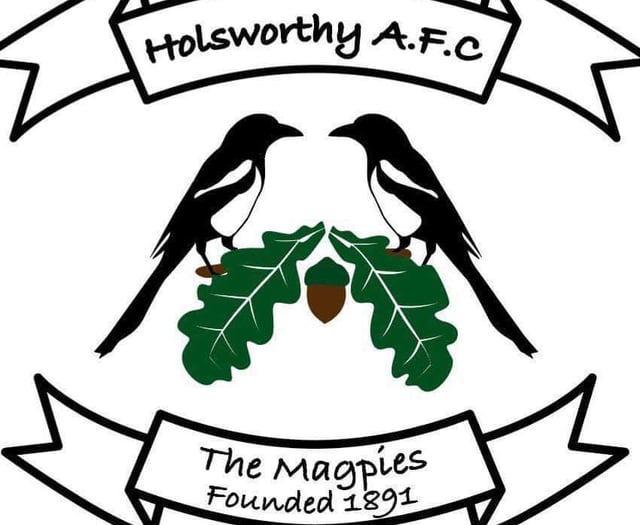 Holsworthy boss Hall knows importance of upcoming games