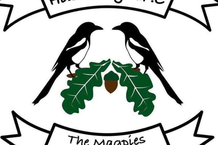 Holsworthy AFC logo.