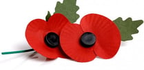 Make a poppy this half-term ahead of Remembrance