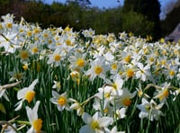 A summer of play with the National Trust in Devon and Cornwall 