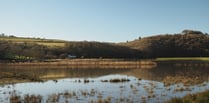 Future of Calstock Wetlands assured with 20 year management agreement