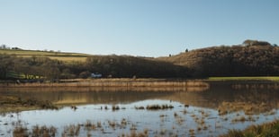 Future of Calstock Wetlands assured with 20 year management agreement