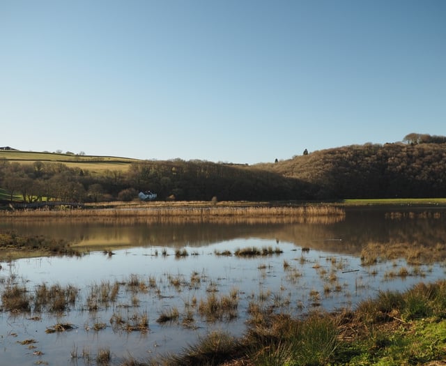 Future of Calstock Wetlands assured with 20 year management agreement