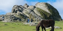 Dartmoor National Park Authority to appeal wild camping ban