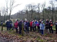 Moor to Sea launches new walking route 