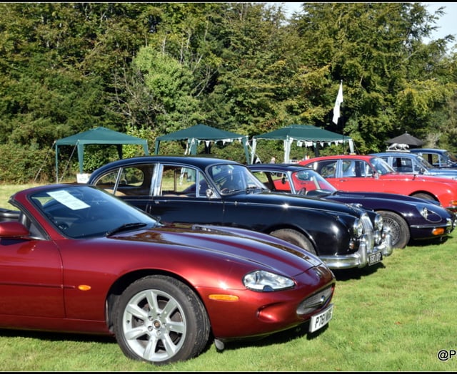 A bumper Jaguar and Lotus line up for vintage car meet