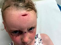 Parents express their concern as a park gate ‘causes injuries’