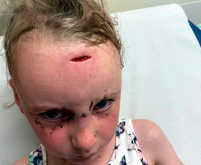 Parents express their concern as a park gate ‘causes injuries’