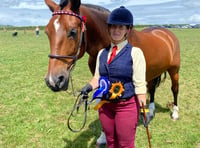 A selection of local winners at this years Liskeard show