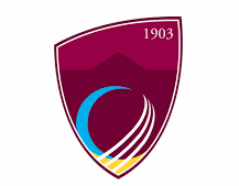 Newquay CC logo