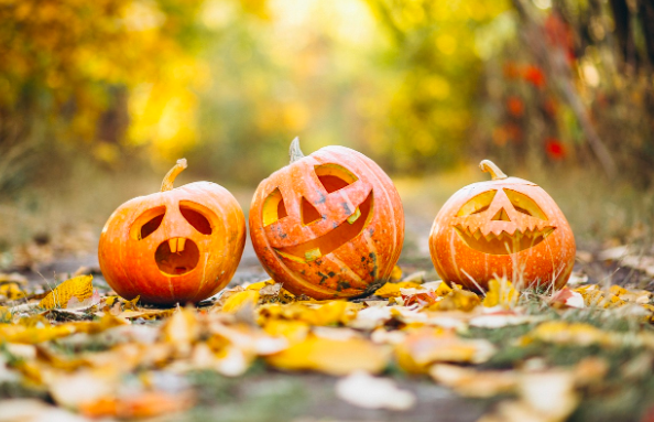 Hallowe'en fun at Cornwall Cricket Centre