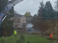 Adorable video shows boy's reaction to Saltash tree installation