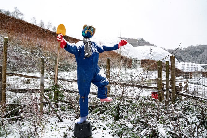 Snow fell at the Eden Project ahead of its Christmas experience launch on Fri 1 Dec - Rob Donald.jpg