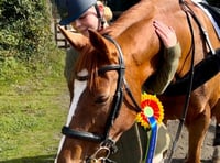 Take a look as a rider from Looe prepares for the London Horse Show