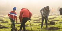 Schools and communities urged to sign up to tree planting scheme