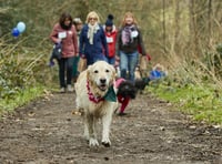 Saltash nature reserve set to host special dog walkers' event