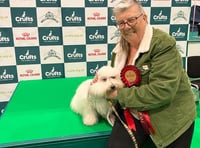 2024 Crufts champions from the local area