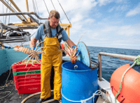 New initiative set to increase British consumption of Cornish seafood