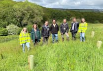 Funding to drive green improvements across Cornish landscape