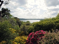 Private gardens across Cornwall and Devon are opening for charity