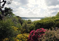 Private gardens across Cornwall and Devon are opening for charity