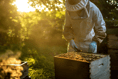 Beekeeping experience coming to Boconnoc
