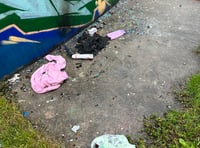 Call to report skatepark vandalism