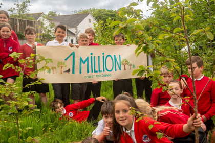 Council thanks community for helping to plant a million trees