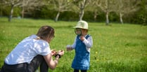  Enjoy a jam-packed day of ‘really wild’ activities at Cotehele